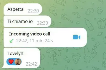 Telegram sexting review, real chat screenshot 6 with a verified girl